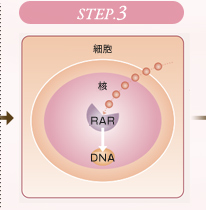 STEP.3