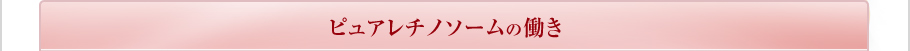 ピュアレチノソームの働き