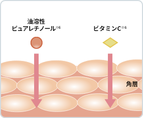 ラフォーレ ダイレクト パフォーマンス X｜公式サイト／ラフォーレ