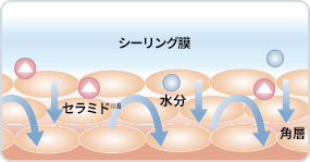 ラフォーレ ダイレクト パフォーマンス X｜公式サイト／ラフォーレ