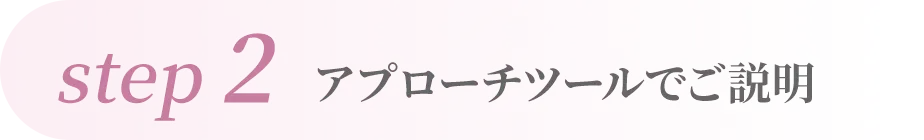 step2 アプローチツールでご説明