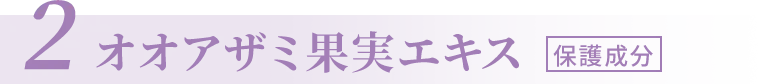 2.オオアザミ果実エキス[保護成分]